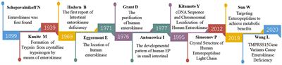 The Global Status and Trends of Enteropeptidase: A Bibliometric Study